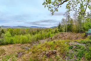 81 Meadow Ln, Woodstock, NH 03262 - Photo 60