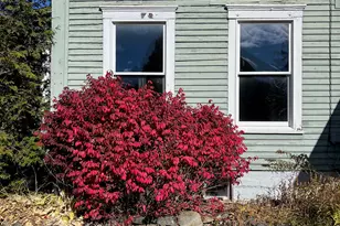 14 Lombard St, Colebrook, NH 03576 - Photo 40
