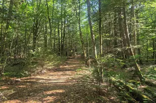 M20 L45 Green Rd, Raymond, NH 03077 - Photo 1