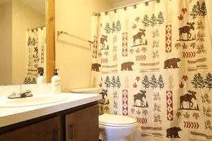 10 Sunnyside Way, Waterville Valley, NH 03215 - Photo 10