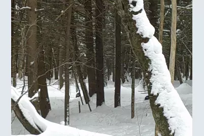 0 Plot Road #2, Johnson, VT 05656 - Photo 12