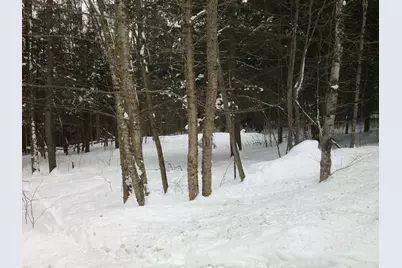 0 Plot Road #2, Johnson, VT 05656 - Photo 1