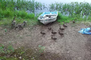 9 Patriot Ln, Sanbornton, NH 03269 - Photo 60