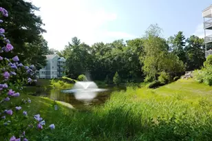 45 Dogwood Dr, Nashua, NH 03062 - Photo 30