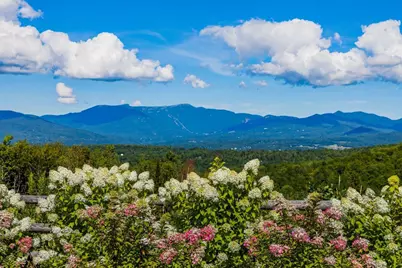 675 Putnam Forest Road, Stowe, VT 05672 - Photo 46