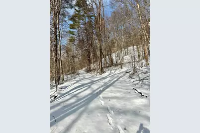 0 Ellen Ware Road, Townshend, VT 05353 - Photo 8