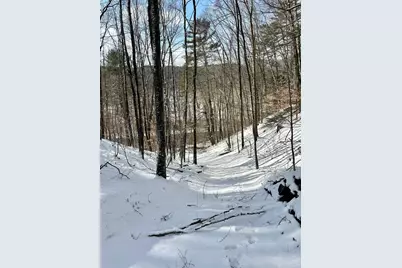 0 Ellen Ware Road, Townshend, VT 05353 - Photo 6