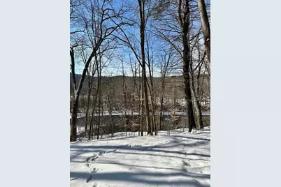 0 Ellen Ware Road, Townshend, VT 05353 - Photo 10