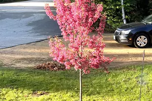 136 Lovering Ave, Loudon, NH 03307 - Photo 48