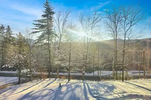 253 Upper Mad River Rd, Thornton, NH 03285 - Photo 46