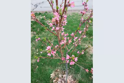 2 Natick Street, Nashua, NH 03063 - Photo 28