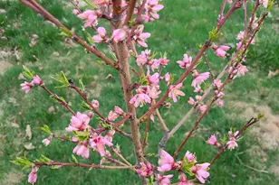 2 Natick St, Nashua, NH 03063 - Photo 28