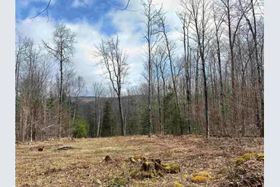 00 Miller Pond Road, Grantham, NH 03753 - Photo 1