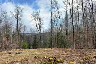 00 Miller Pond Rd, Grantham, NH 03753 - Photo 1