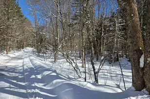 Mansfield Rd, Marlow, NH 03456 - Photo 1