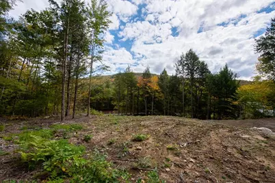 15-12-10-04 Jacob Hall Farm Road #1, Rumney, NH 03266 - Photo 2
