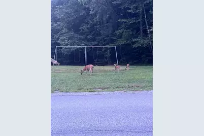 17 Walnut Circle, Merrimack, NH 03054 - Photo 40