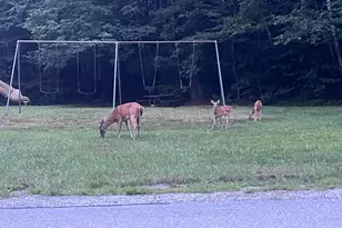 17 Walnut Cir, Merrimack, NH 03054 - Photo 40