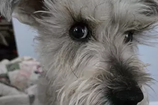 35 Collins Landing Rd, Weare, NH 03281 - Photo 16