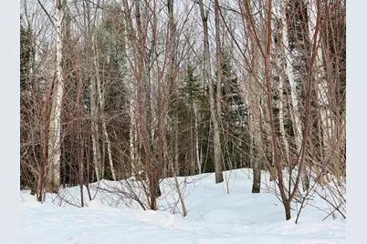 Lot 15 Holbrook Hill Road, Stratford, NH 03590 - Photo 2