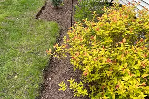 336 New Hampton Rd, Franklin, NH 03235 - Photo 18