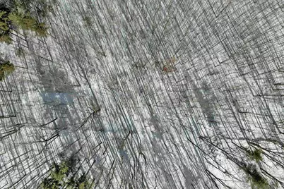 Lot 5A Phineas Graves Road, Tuftonboro, NH 03816 - Photo 16