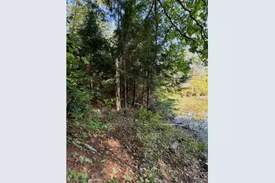 0 Beard Lane, Grafton, NH 03240 - Photo 4