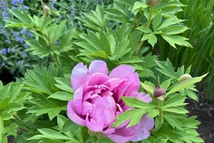 14 Colonial Square, Peterborough, NH 03458 - Photo 44