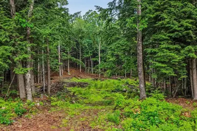 M10 L05 S37 Centennial Drive, Webster, NH 03303 - Photo 2