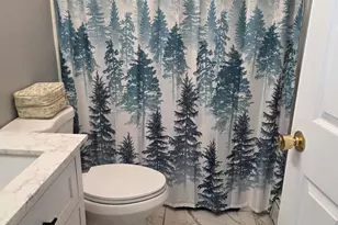 21 Leisure Dr, Ossipee, NH 03814 - Photo 26