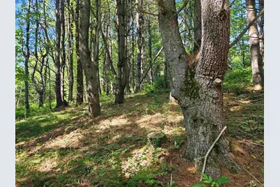 Lot 3.1 Off Parker Road, Lisbon, NH 03585 - Photo 16