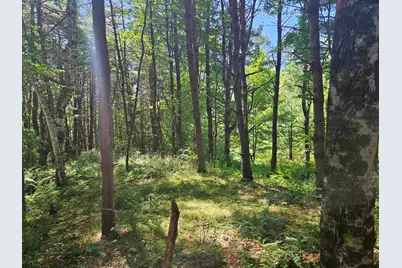 Lot 3.1 Off Parker Road, Lisbon, NH 03585 - Photo 12