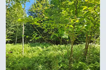 Lot 3.3 Off Parker Road, Lisbon, NH 03585 - Photo 8