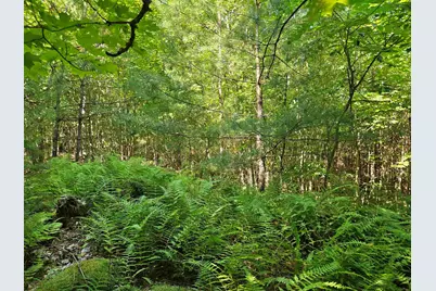 Lot 3.3 Off Parker Road, Lisbon, NH 03585 - Photo 6