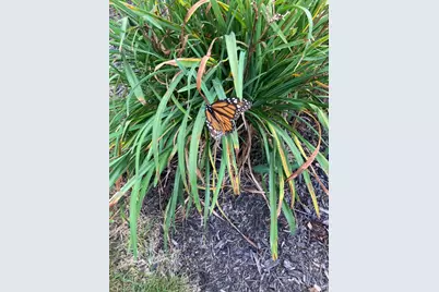 10 Autumn Street, Goffstown, NH 03045 - Photo 14