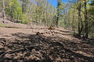 374 Burton Hwy, Wilton, NH 03086 - Photo 12