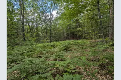 A 66 Burton Highway, Wilton, NH 03086 - Photo 1
