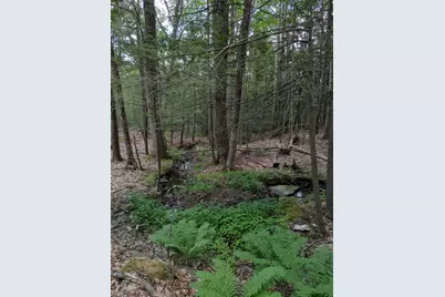A 66 Burton Highway, Wilton, NH 03086 - Photo 16