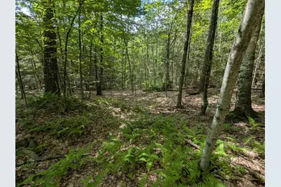 A 66 Burton Highway, Wilton, NH 03086 - Photo 12