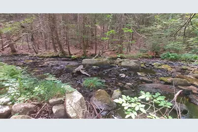 A 66 Burton Highway, Wilton, NH 03086 - Photo 6