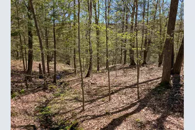 A 66 Burton Highway, Wilton, NH 03086 - Photo 8
