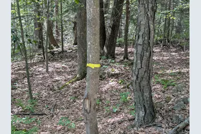 A 66 Burton Highway, Wilton, NH 03086 - Photo 20