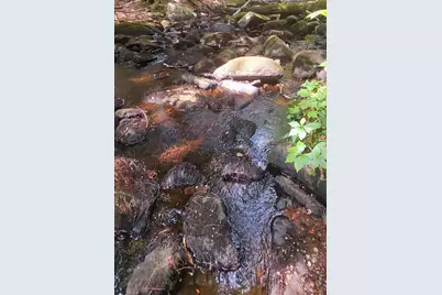 A 66 Burton Highway, Wilton, NH 03086 - Photo 18