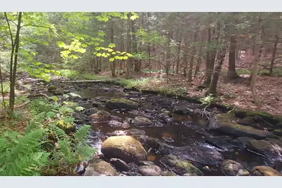 A 66 Burton Highway, Wilton, NH 03086 - Photo 4