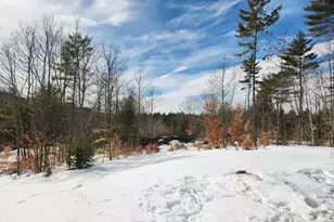 237 N Bennington Rd, Bennington, NH 03442 - Photo 34