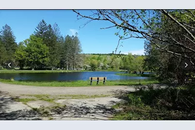 6 Bear Path Lane, Hudson, NH 03051 - Photo 36