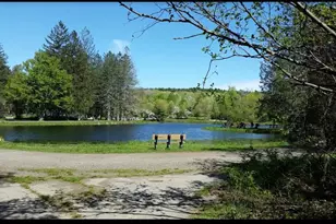 6 Bear Path Ln, Hudson, NH 03051 - Photo 36