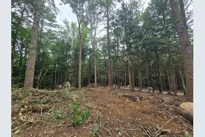 Lot 36 Beaver Dam Road, New Hampton, NH 03256 - Photo 6