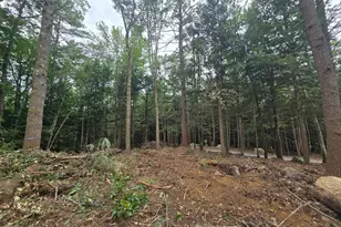 Lot 36 Beaver Dam Rd, New Hampton, NH 03256 - Photo 6