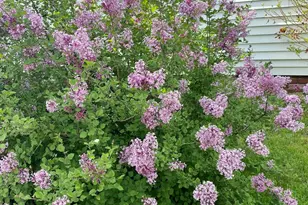 632 Central St, Franklin, NH 03235 - Photo 48